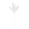 12 Pack: 31" White Pampas Grass Stem by Ashland®